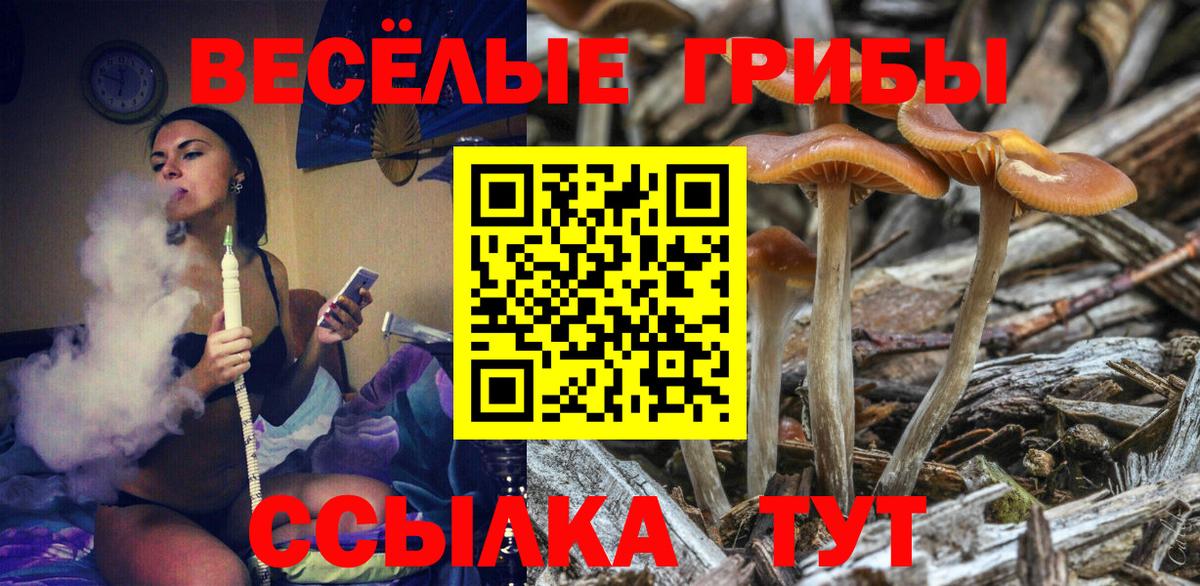 Галлюциногенные грибы GOLDEN TEACHER  Вход с VPN  закладки  Астрахань  Псилоцибиновые грибы Psilocybine cubensis 